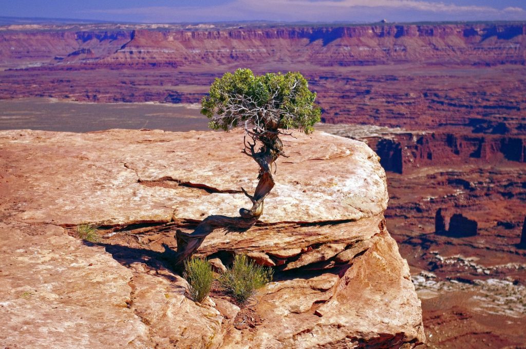 Rock Formations